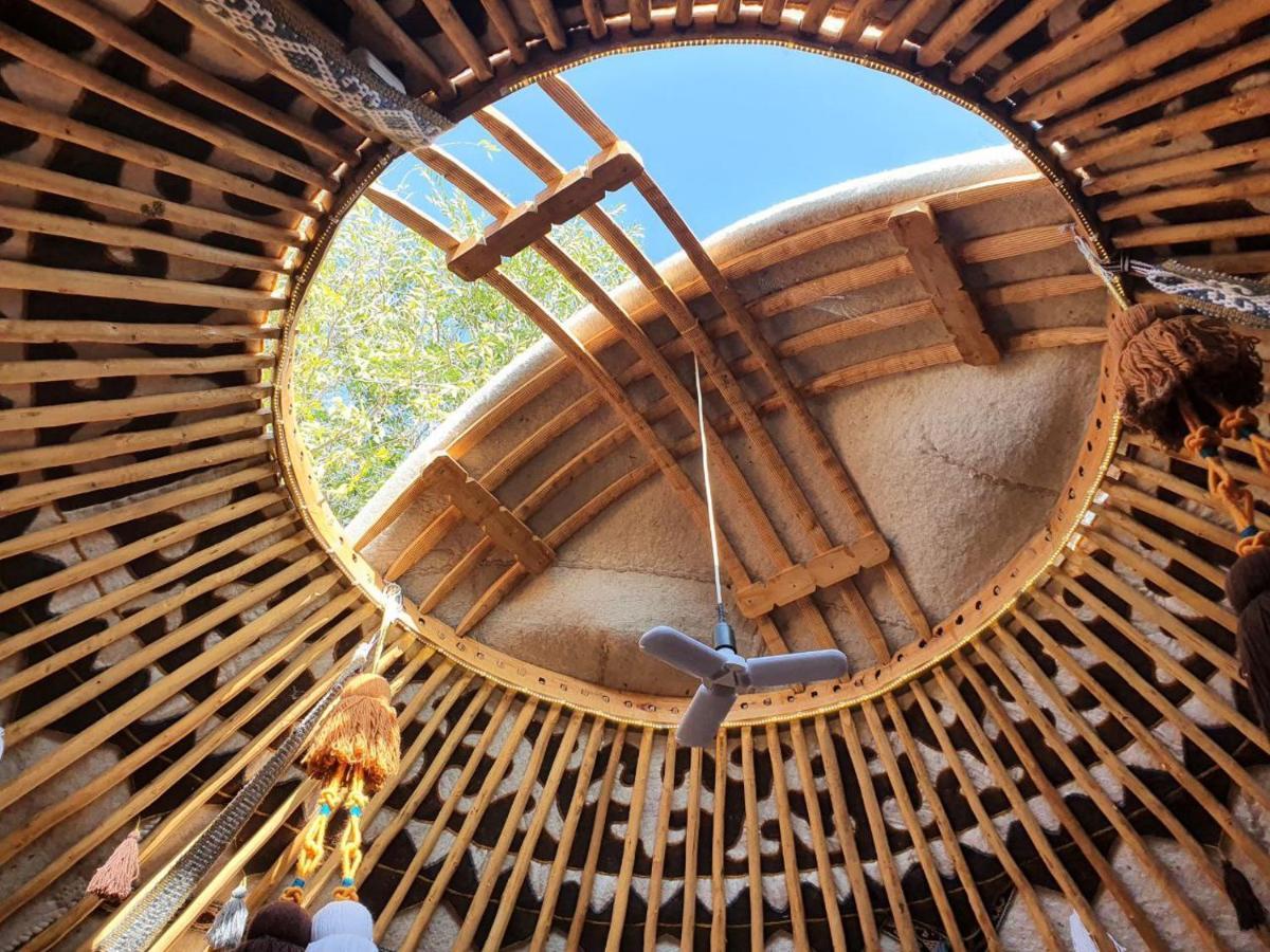 Bed and Breakfast Agat Yurt Camp à Kaji-Say Extérieur photo