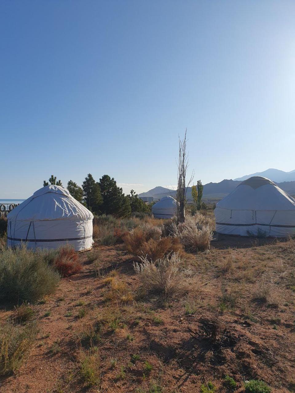 Bed and Breakfast Agat Yurt Camp à Kaji-Say Extérieur photo