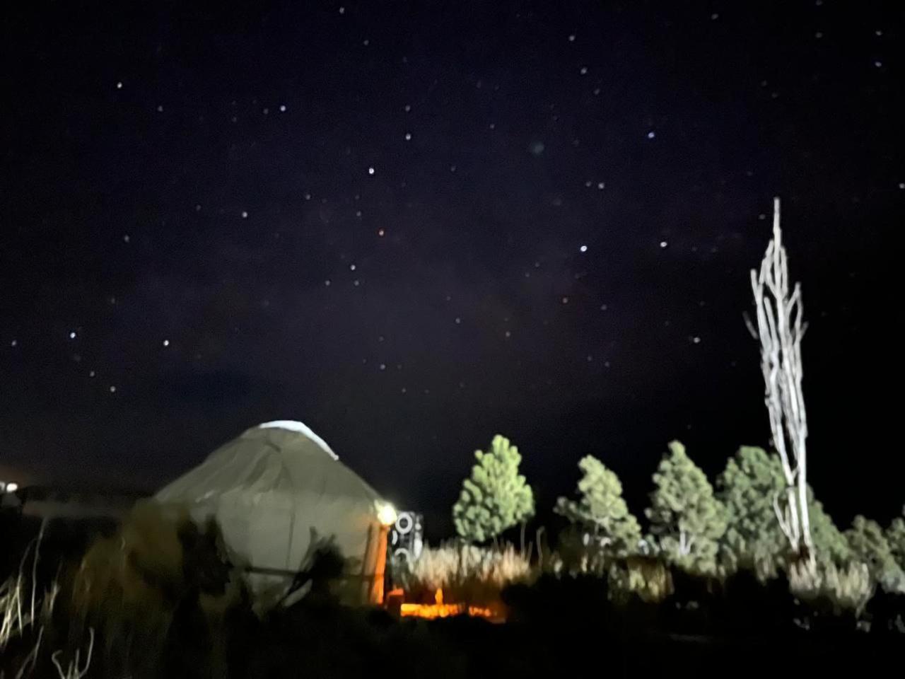 Bed and Breakfast Agat Yurt Camp à Kaji-Say Extérieur photo